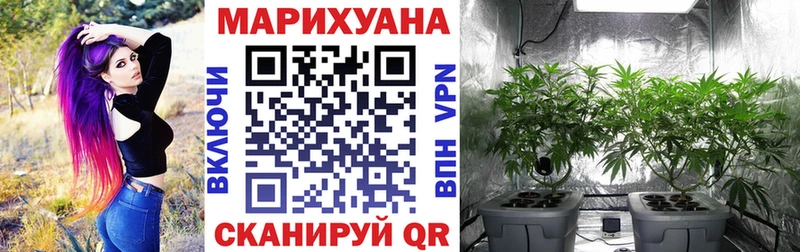 закладка  Сосновый Бор  Шишки марихуана Ganja 